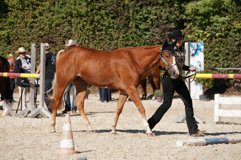 s_A_907589.JPG
